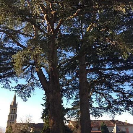 ホテル Hostellerie Des Cedres Villeneuve-de-Rivière