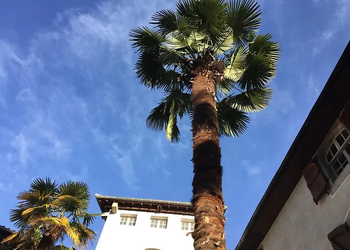 Hotel Hostellerie Des Cedres