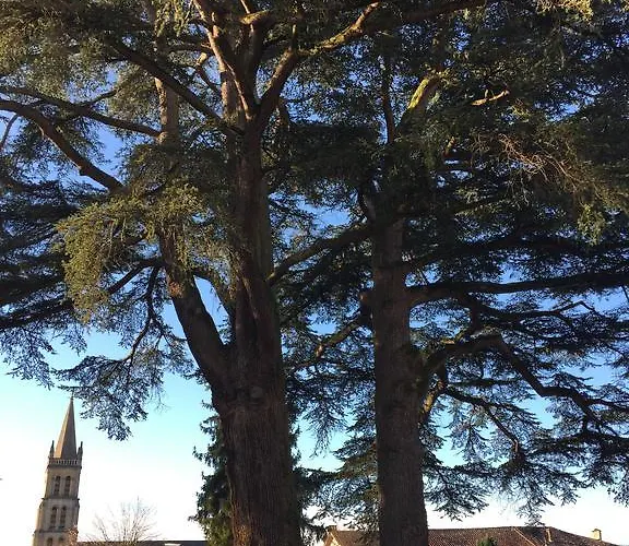 Hotel Hostellerie Des Cedres Villeneuve-de-Rivière