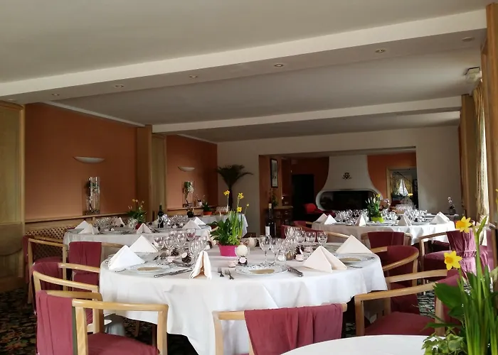 Hotel Hostellerie Des Cedres Villeneuve-de-Rivière