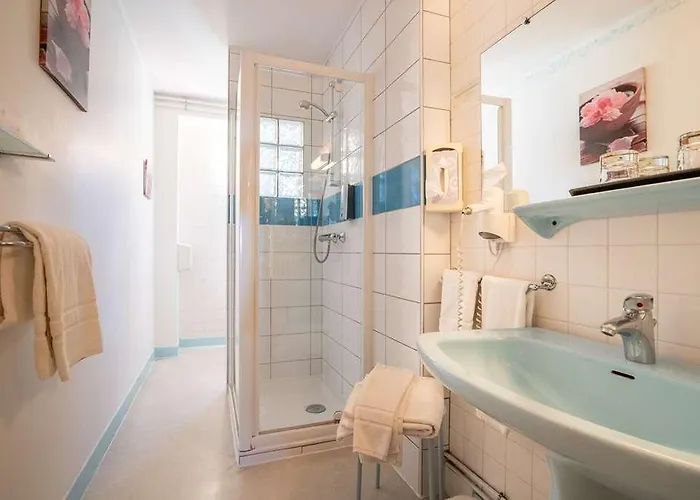 Hotel Hostellerie Des Cedres Villeneuve-de-Rivière